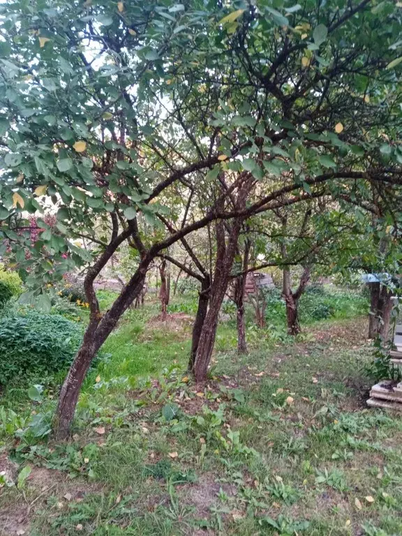 Участок в Новгородская область, Великий Новгород Морозовская ул. (8.4 ... - Фото 1