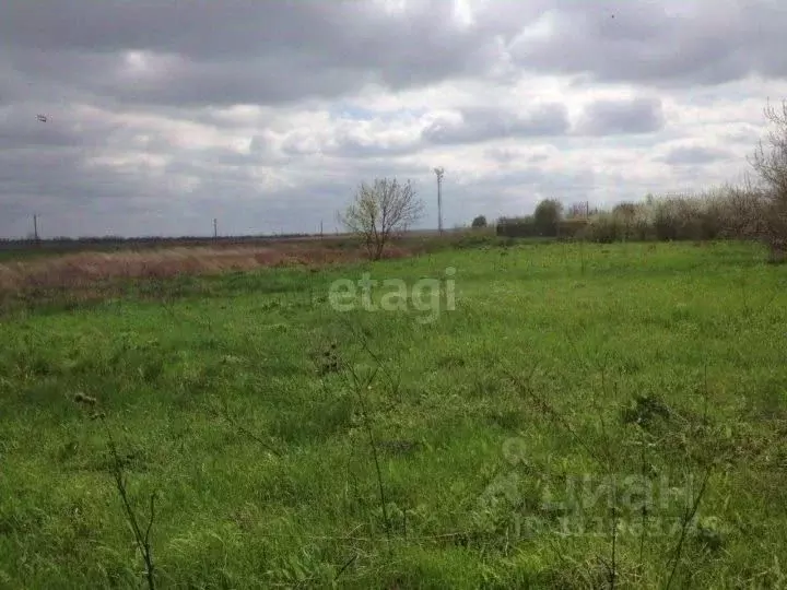 Участок в Ростовская область, Азовский район, Новоалександровское ... - Фото 0