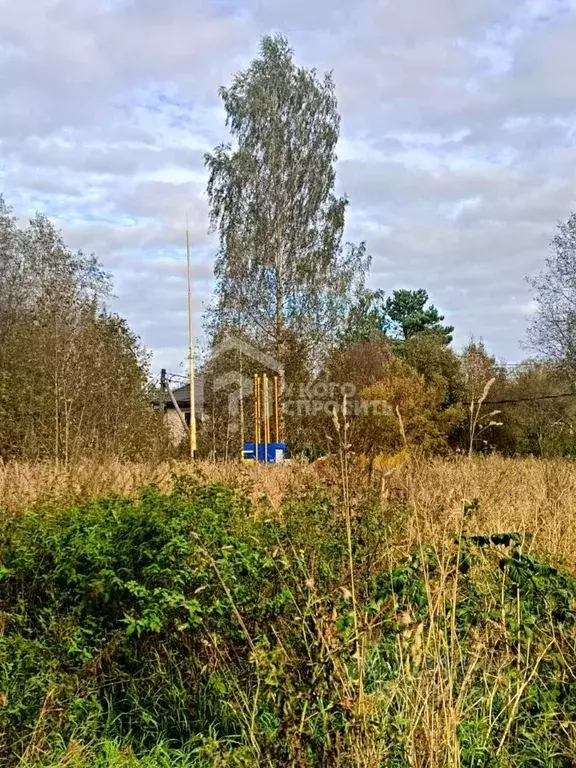 Дом в Ленинградская область, Всеволожский район, Рахьинское городское ... - Фото 2