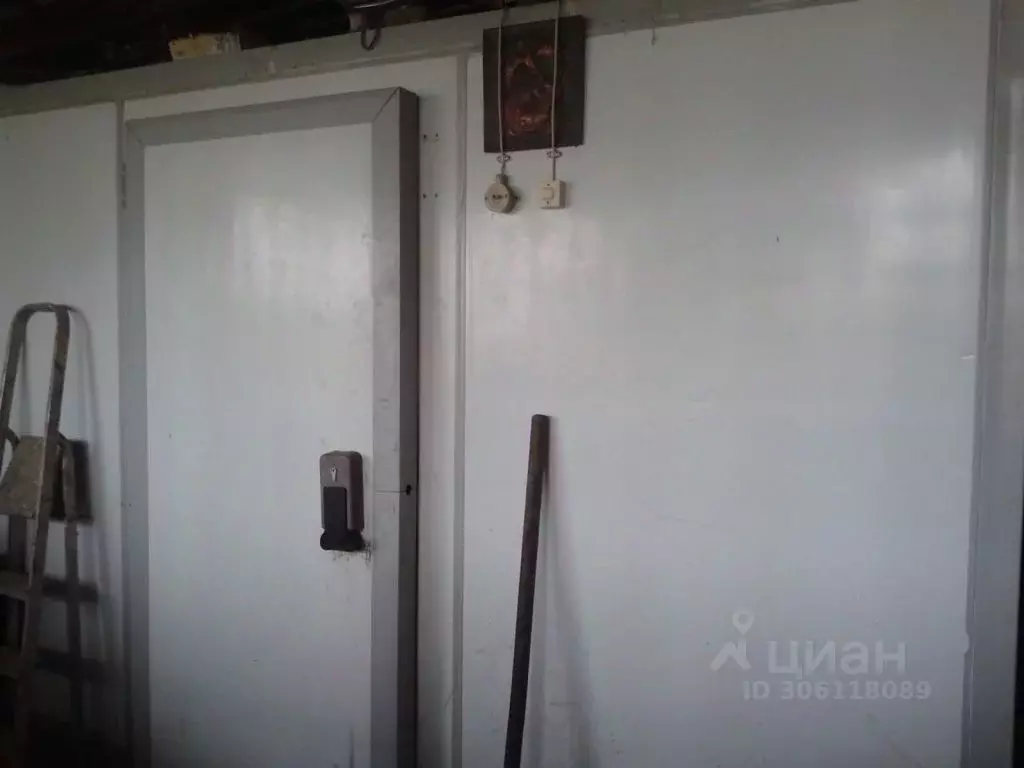 Помещение свободного назначения в Пензенская область, Лунино рп ул. ... - Фото 1