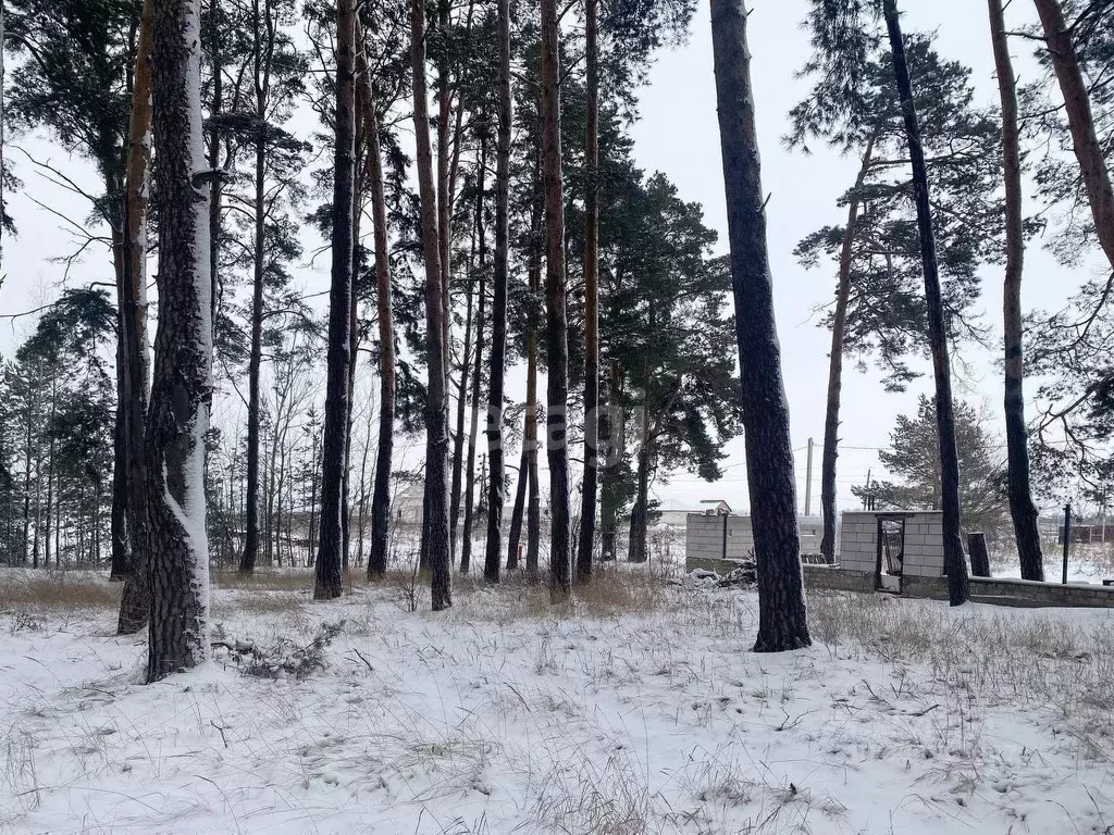 Участок в Липецкая область, Добровский муниципальный округ, с. ... - Фото 0