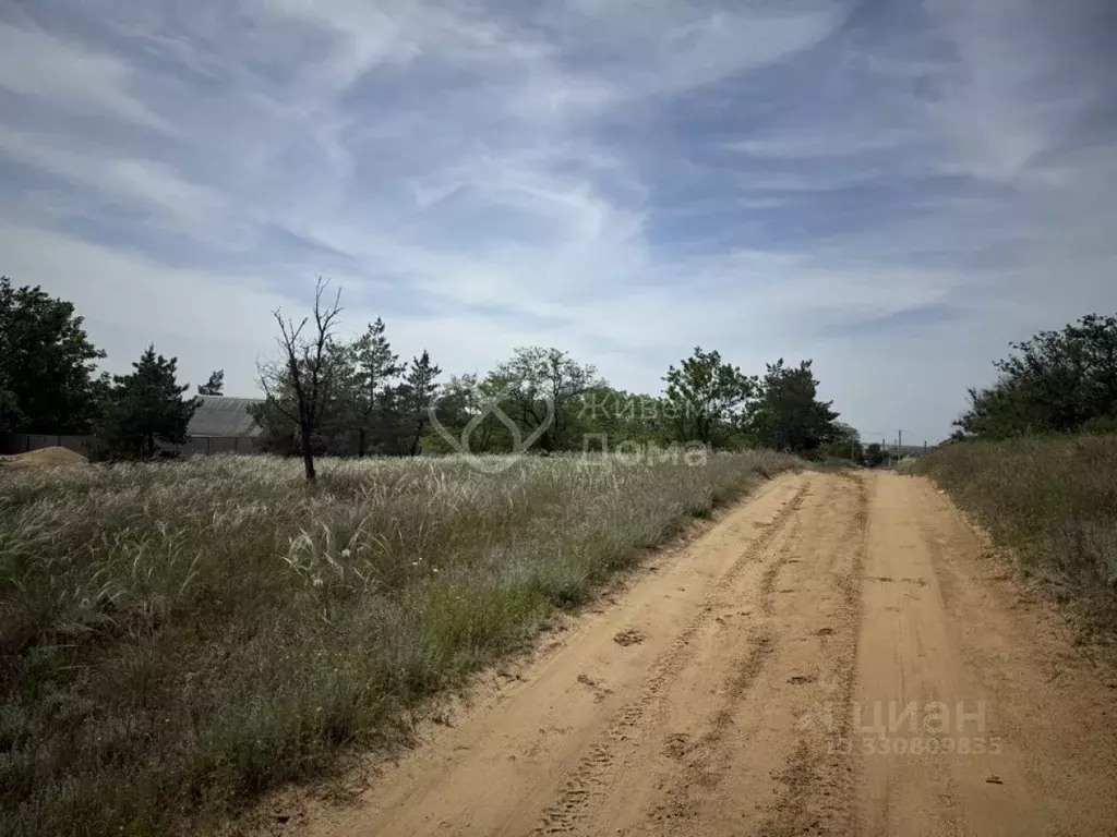 Участок в Волгоградская область, Городищенский район, Царицынское ... - Фото 2
