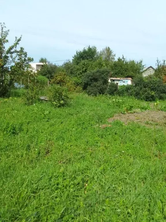 Участок в Калининградская область, Зеленоградский муниципальный округ, ... - Фото 2