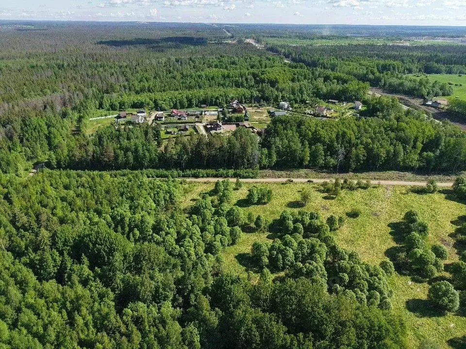 Участок в Ленинградская область, Выборгский район, пос. Первомайское  ... - Фото 1
