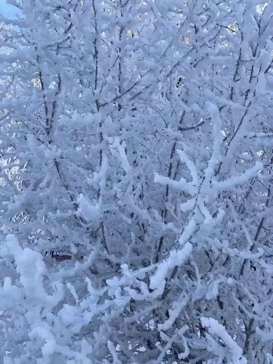 Дом в Иркутская область, Иркутский муниципальный округ, Печатник СНТ ... - Фото 2