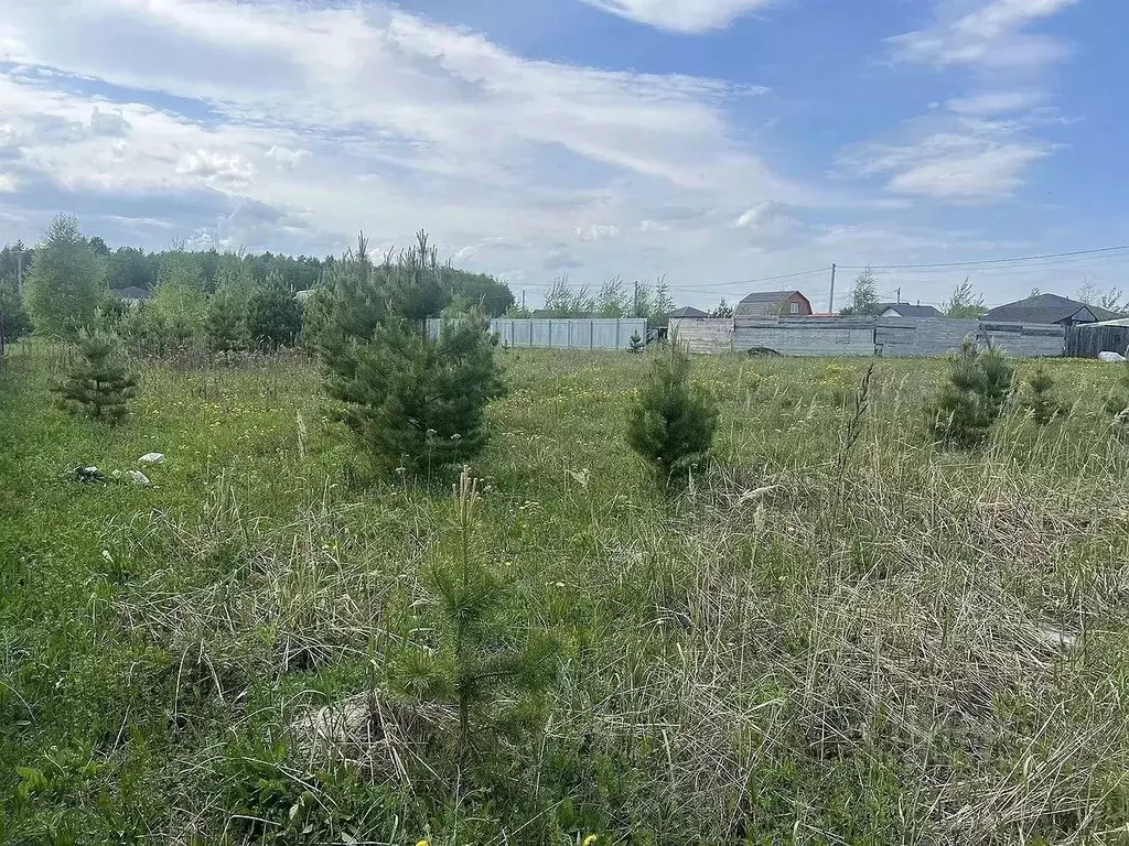 Участок в Тюменская область, Тюменский район, Серебряный бор ТСН ул. ... - Фото 1
