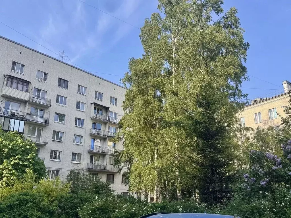 Комната Санкт-Петербург Большеохтинский просп., 22к2 (31.0 м) - Фото 1