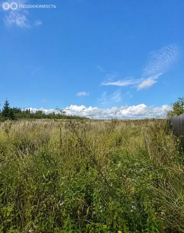 Участок в Московская область, городской округ Солнечногорск, СНТ ... - Фото 2