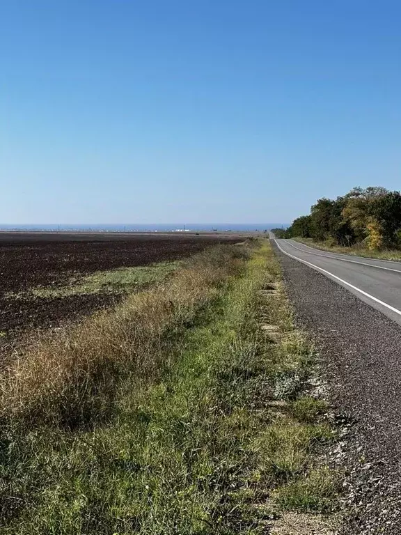 Участок в Крым, Черноморский район, Новосельское с/пос  (2.0 сот.) - Фото 0