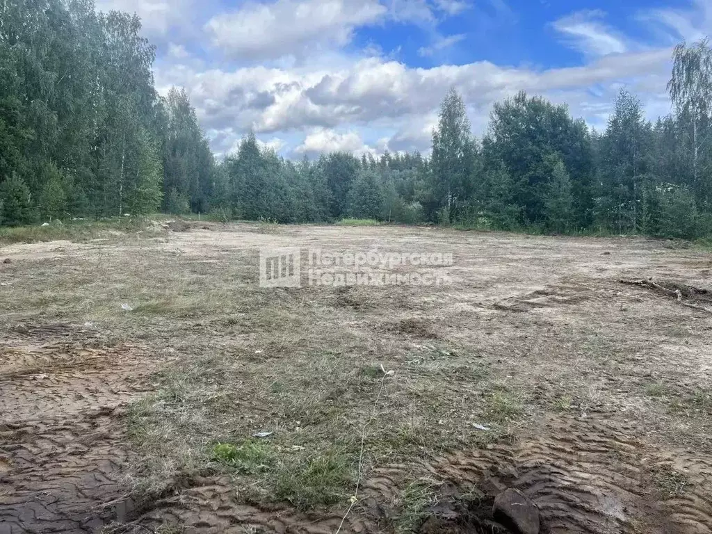 Участок в Ленинградская область, Выборгский район, Рощинское городское ... - Фото 1