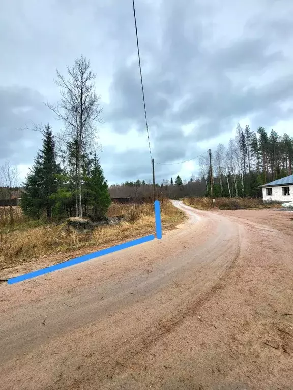 Участок в Карелия, Питкяранта пер. Боровой (14.5 сот.) - Фото 2