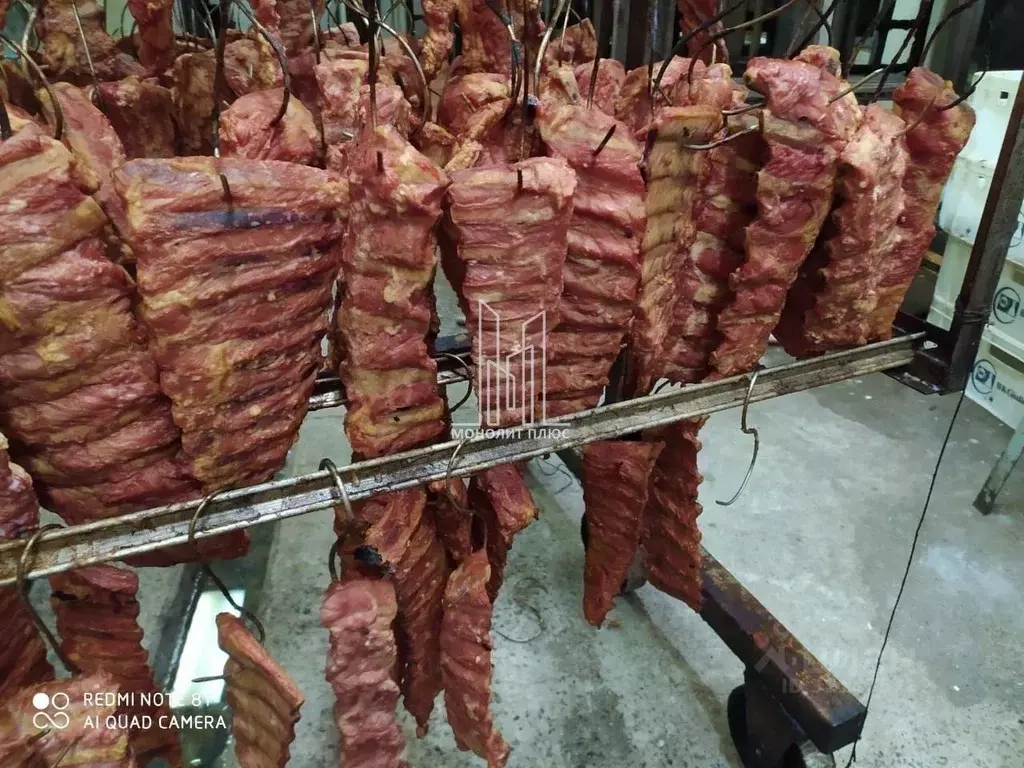 Производственное помещение в Санкт-Петербург Стрельбищенская ул., 16 ... - Фото 1