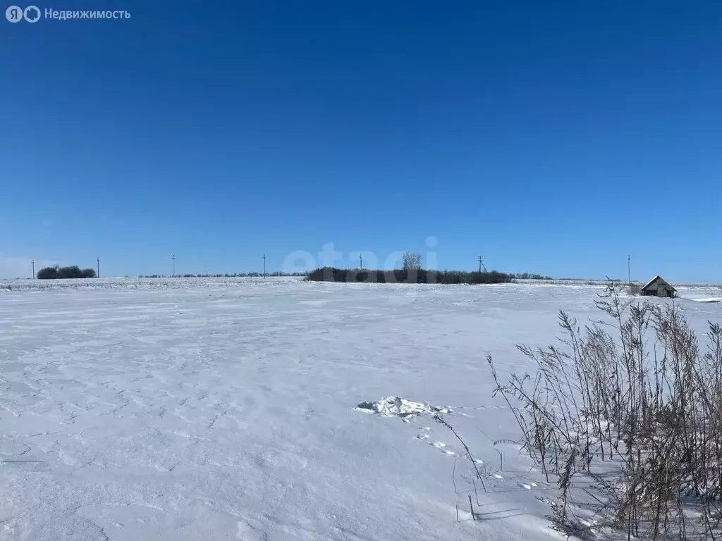 Участок в Прохоровский район, село Коломыцево (42 м) - Фото 2