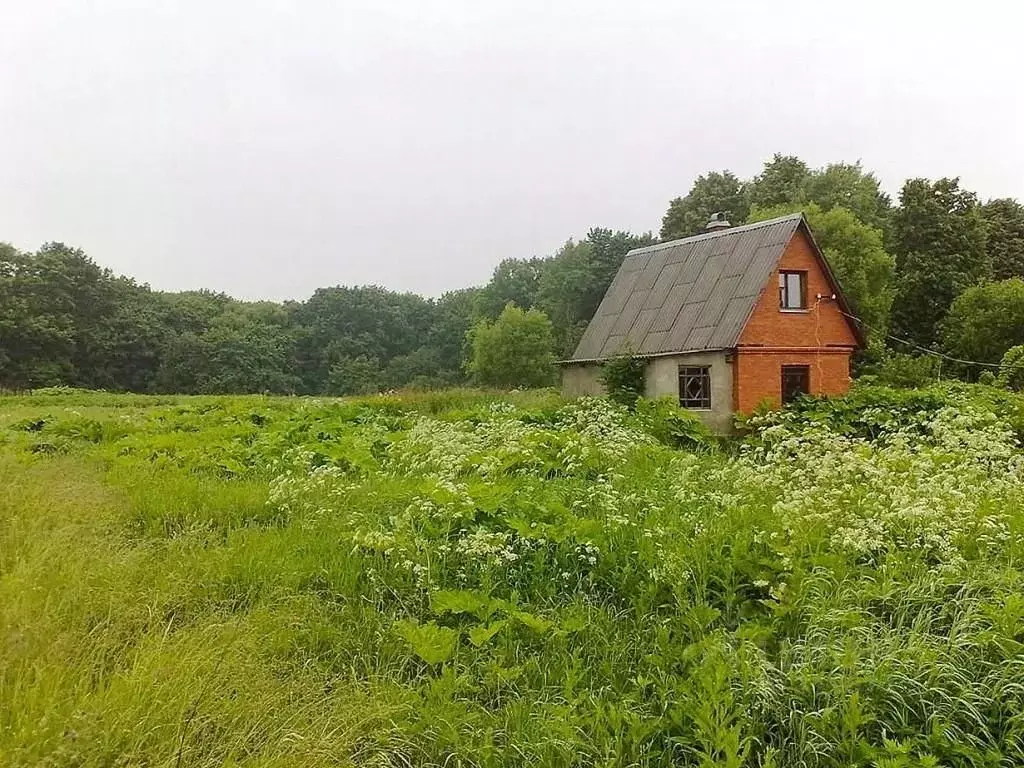 Новинки Бегичево Серпуховского Купить Дом