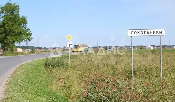 Участок 4 сот. (СНТ, ДНП) - Фото 0