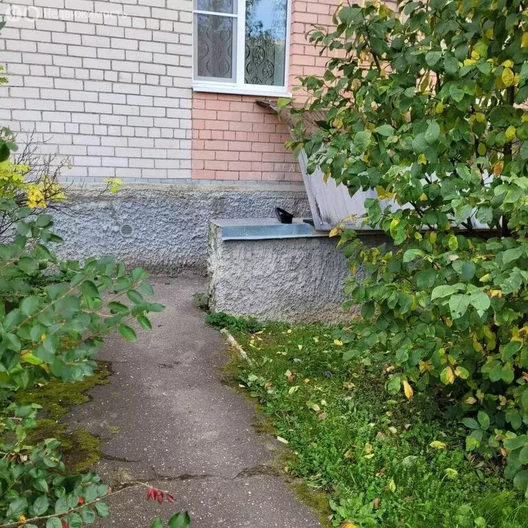 Помещение свободного назначения (48.4 м) - Фото 2