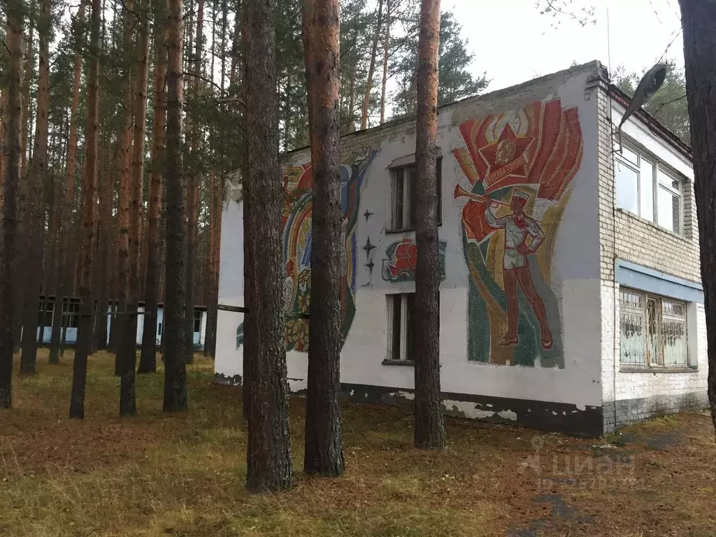 Помещение свободного назначения в Нижегородская область, Вадский ... - Фото 1