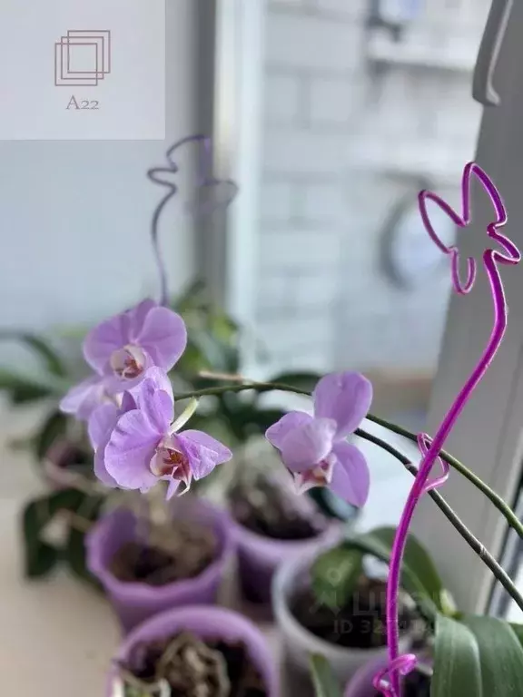 2-к кв. Алтайский край, Барнаул Сиреневая ул., 4 (63.5 м) - Фото 1