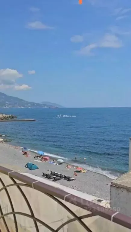 Студия Крым, Ялта муниципальный округ, Курпаты пгт ш. Алупкинское, 8Г ... - Фото 2