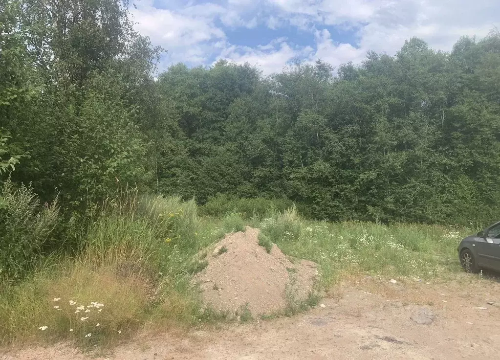 Участок в Ленинградская область, Выборгский район, Селезневское с/пос, ... - Фото 2