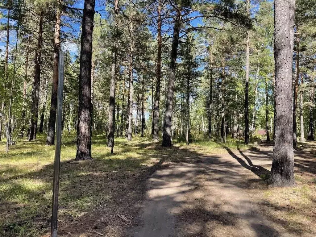 Участок в Забайкальский край, Читинский район, с. Смоленка  (6.9 сот.) - Фото 0