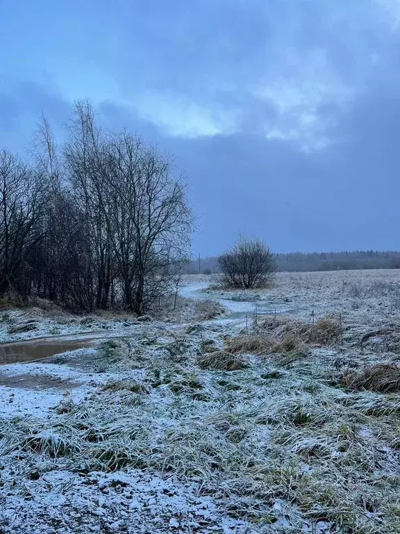 Участок в Ленинградская область, Всеволожский район, Рахьинское ... - Фото 1