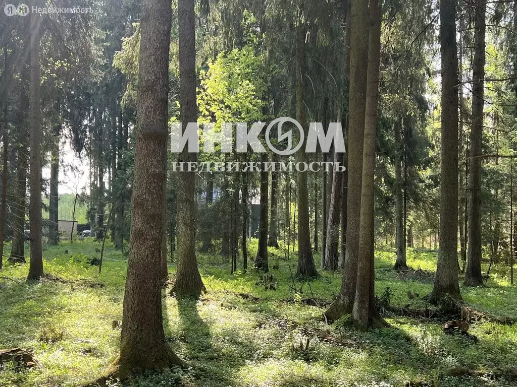 Участок в Московская область, Дмитровский муниципальный округ, деревня ... - Фото 1