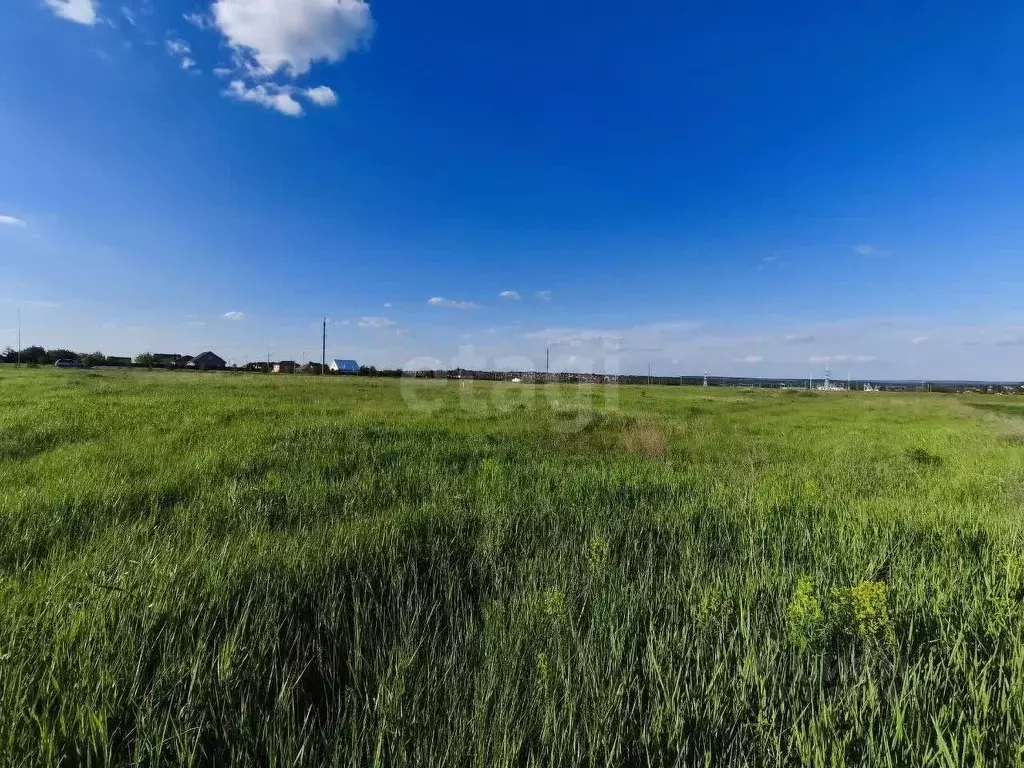 Участок в Белгородская область, Белгородский район, Никольское с/пос, ... - Фото 1