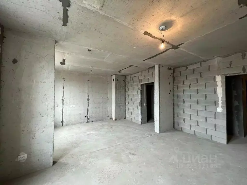 3-к кв. Ленинградская область, Тосно г. Тосненский район, Тосненское ... - Фото 2