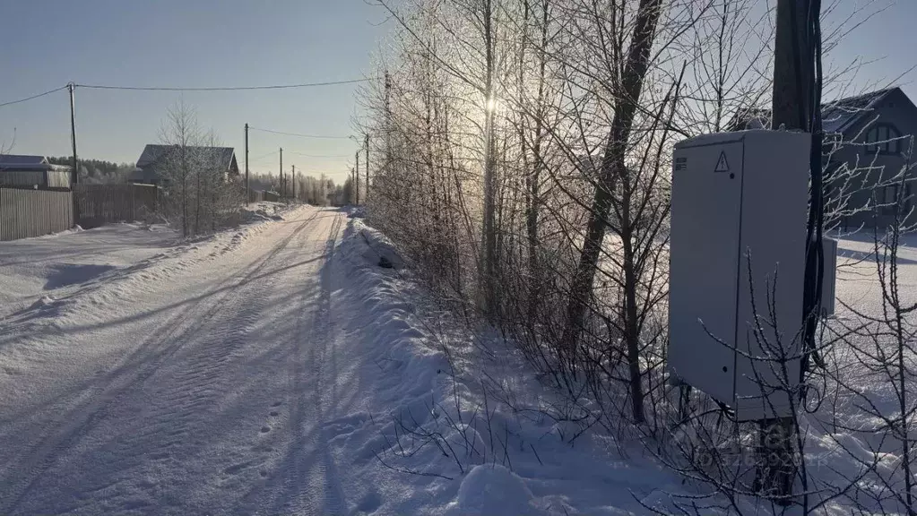 Участок в Ленинградская область, Приозерский район, Ларионовское ... - Фото 2