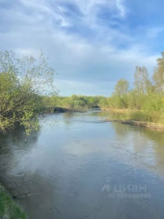 Участок в Красноярский край, Березовский район, Бархатовский ... - Фото 0