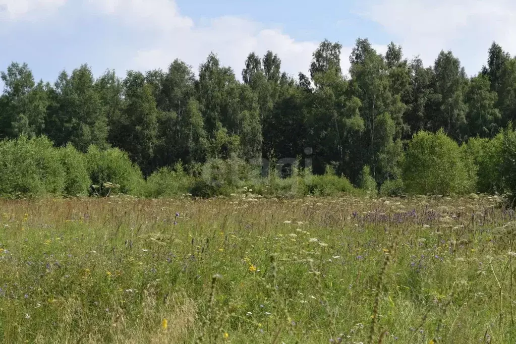 Участок в Калужская область, Перемышльский район, Хотисино с/пос, д. ... - Фото 1