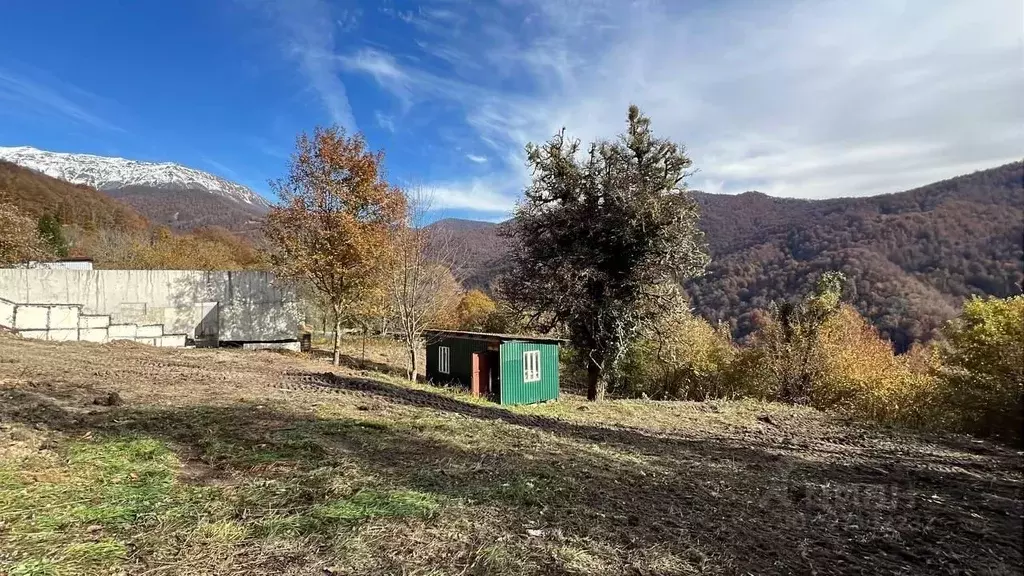 Участок в Краснодарский край, Сочи городской округ, с. Медовеевка  ... - Фото 2