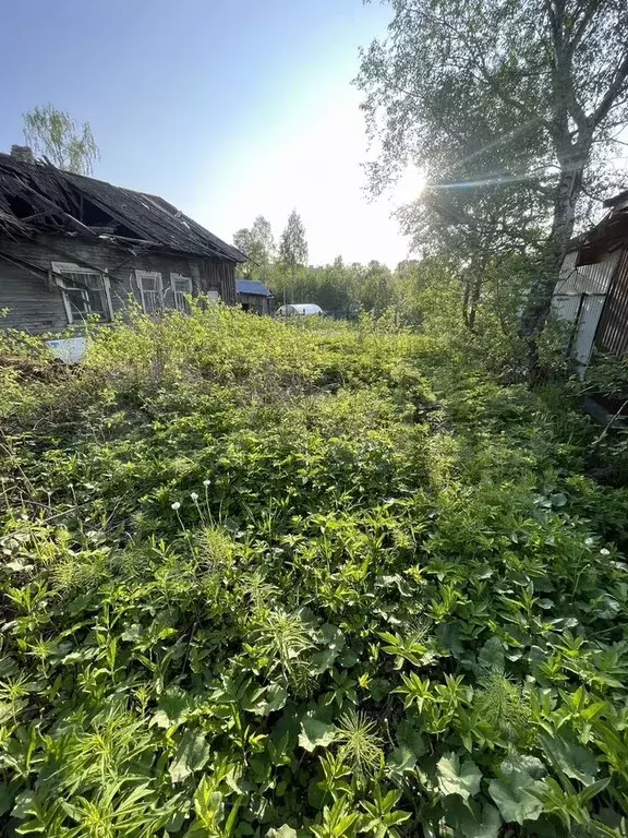 Участок 7,8 сот. (ИЖС) - Фото 1