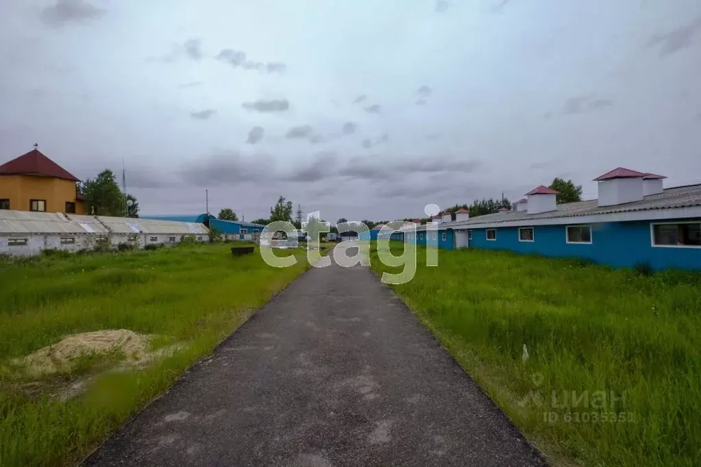 Производственное помещение в Ханты-Мансийский ао, Сургутский район, . - Фото 0