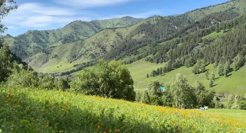 Участок в Алтай, Чемальский район, с. Уожан Заречная ул. (2.6 сот.) - Фото 1