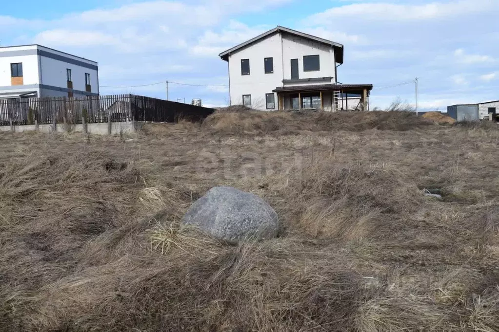 Участок в Ленинградская область, Ломоносовский район, д. Низино ул. ... - Фото 1