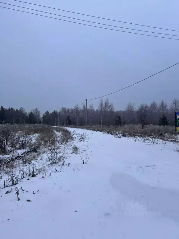 Участок в Владимирская область, Киржачский район, Першинское ... - Фото 1