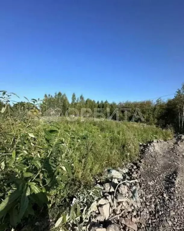 Участок в Тюменская область, Тюмень Уральская ул., 51 (10.8 сот.) - Фото 0