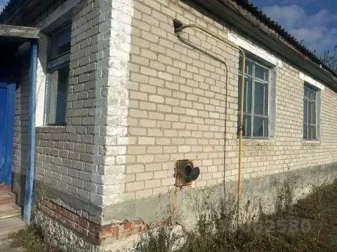 Помещение свободного назначения в Тюменская область, Ишимский ... - Фото 2