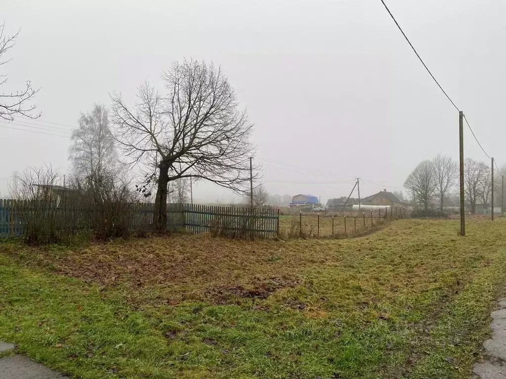 Участок в Ленинградская область, Волосовский район, Бегуницкое с/пос ... - Фото 2