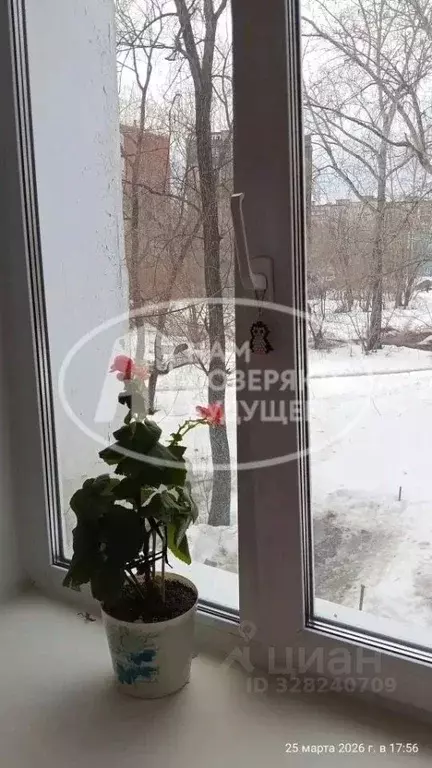 Комната Пермский край, Пермь Подлесная ул., 13 (16.2 м) - Фото 1