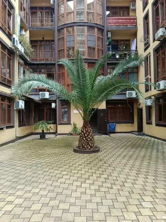 Студия Краснодарский край, Сочи ул. Просвещения, 157/2 (20.0 м) - Фото 2