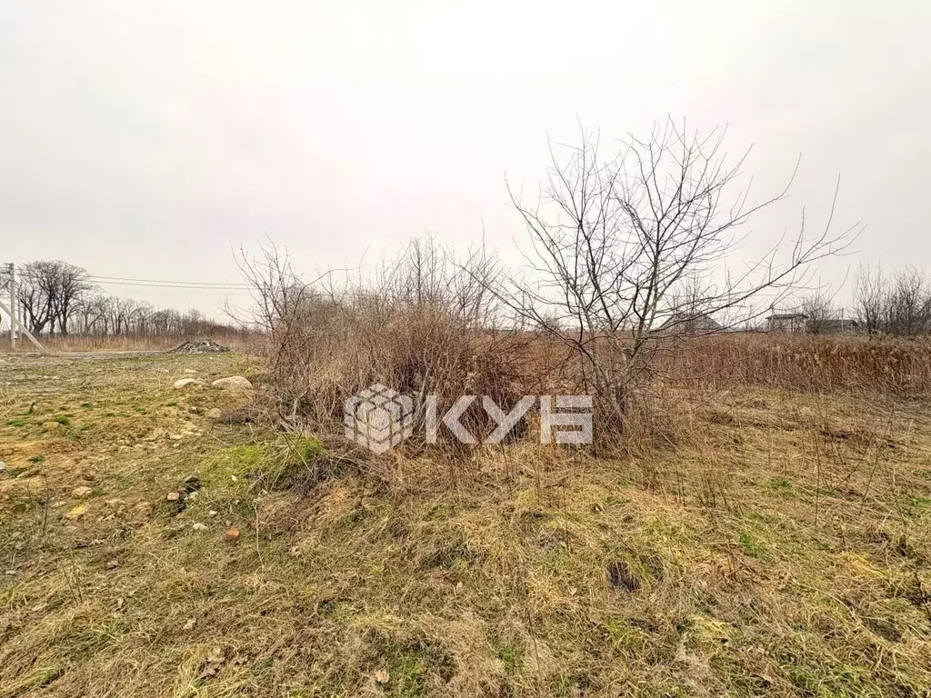 Участок в Калининградская область, Гурьевский муниципальный округ, ... - Фото 1