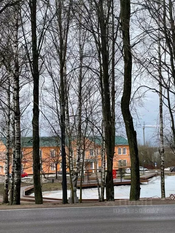 3-к кв. Ленинградская область, Ломоносовский район, д. Низино ... - Фото 1