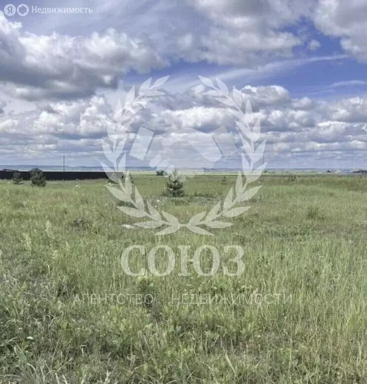 Участок в Калужская область, Дзержинский муниципальный округ, сельское ... - Фото 1