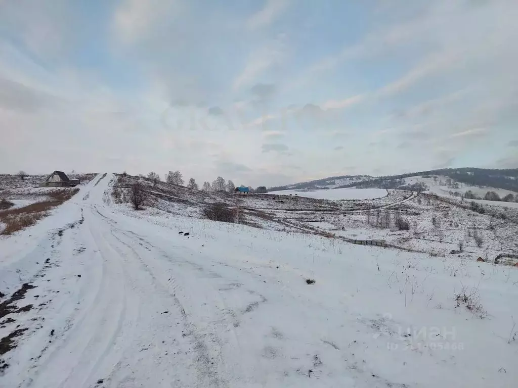 Участок в Алтай, Майминский район, с. Кызыл-Озек ул. Веселая (11.5 ... - Фото 0