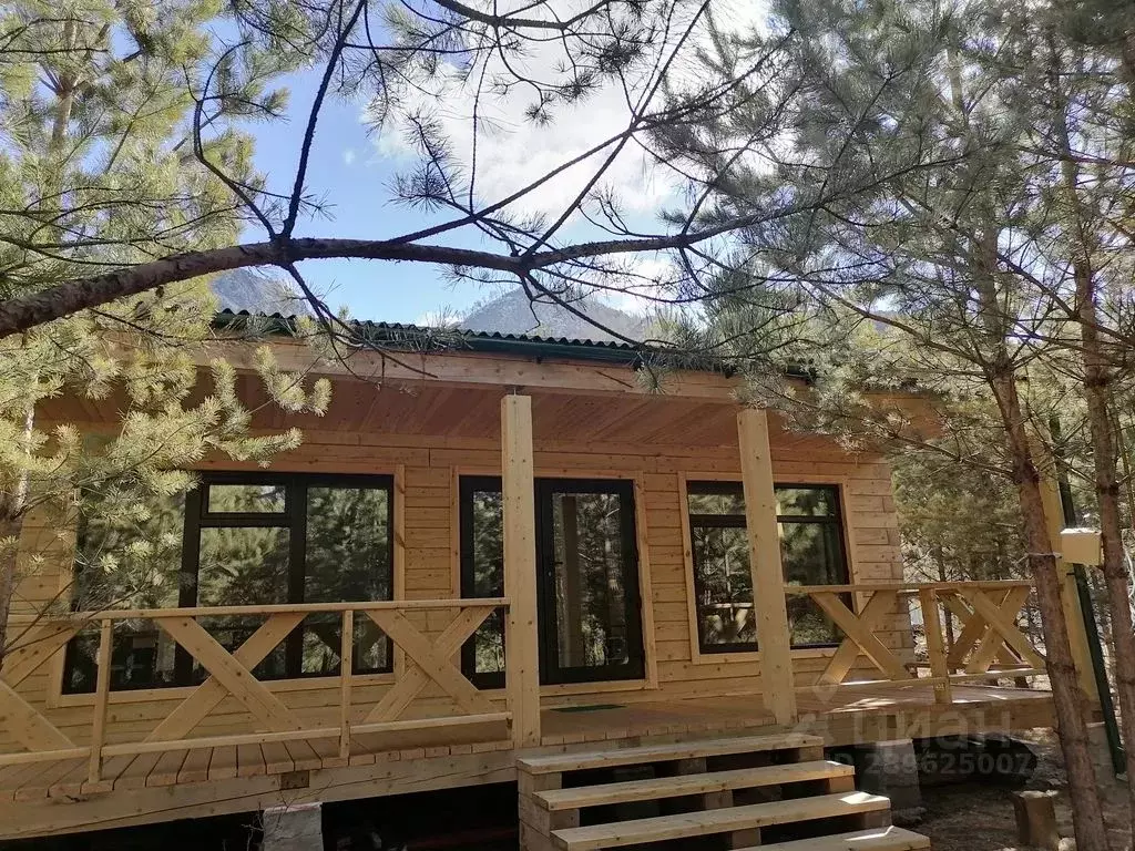 Дом в Алтай, Чемальский район, с. Чемал ул. Березовая, 13 (46 м) - Фото 0