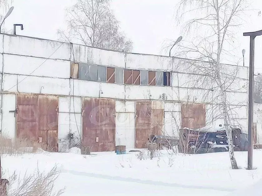 Помещение свободного назначения в Тюменская область, Тюмень ул. ... - Фото 0