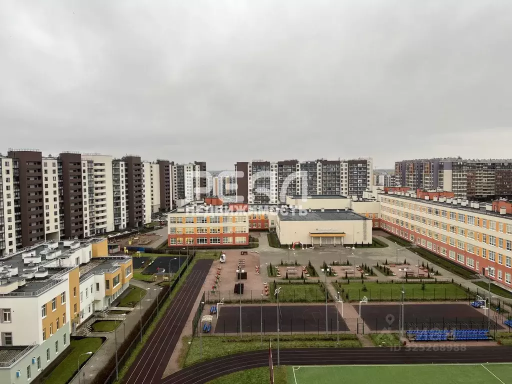 Студия Санкт-Петербург просп. Ветеранов, 171к4 (25.5 м) - Фото 1